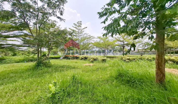 Strategic Plot in an Elite Area with Direct Access to Abd Saleh Airport