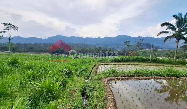 Tanah Lokasi Ngantang Dekat Jalur Utama Batu-Jombang, Pasar Ngantang  1