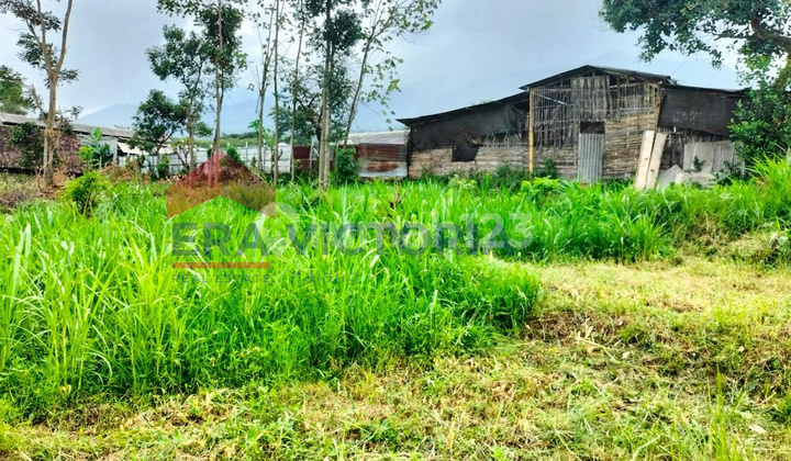 Tanah Dekat Tempat Wisata BNS Batu Cocok untuk Cafe Tanah Dekat Tempat Wisata BNS Batu Cocok untuk Cafe