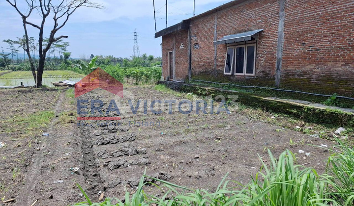 Tanah Jual Cocok untuk Kos-Kosan, Dekat Jalur Alternatif Batu-Malang Tanah Jual Cocok untuk Kos-Kosan, Dekat Jalur Alternatif Batu-Malang