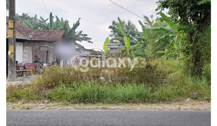 Tanah 0 Raya Sumur Welut Bangkingan Lakarsantri Tanah 0 Raya Sumur Welut Bangkingan Lakarsantri