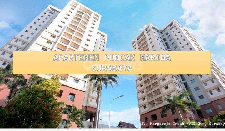 Jual Apartemen Kondo Puncak Marina termurah rugi cepat Margorejo 1