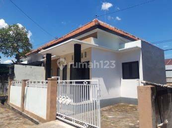 Rumah New Panji Executive 2kt di Buleleng Bali 1
