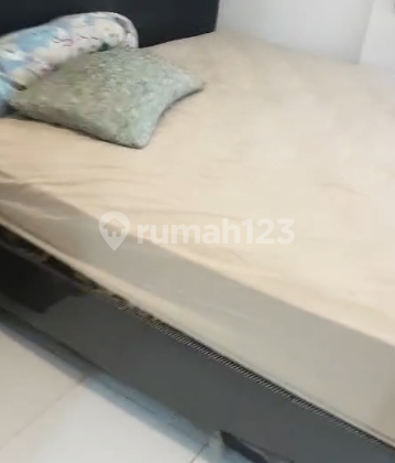 Azalea Suites Cikarang Acacia Tower Apartment