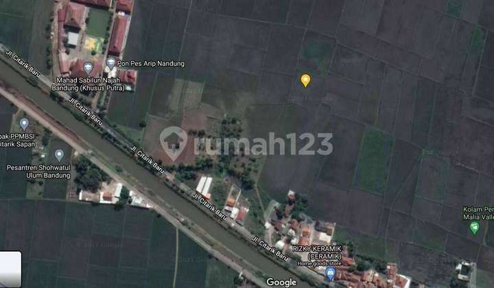 Jual Murah Tanah Sawah Pinggir Jalan Raya Utama, Investasi Bagus Jual Murah Tanah Sawah Pinggir Jalan Raya Utama, Investasi Bagus