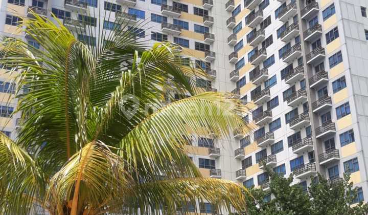 Dijual Apt Springlake Summarecon Bekasi Tower Freezia Jawa Barat 2