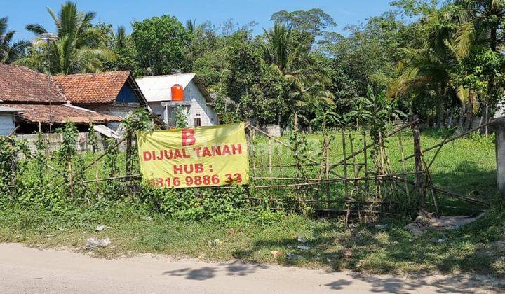 Dijual Cepat Beberapa Bidang Tanah Di Maja, Tangerang 1