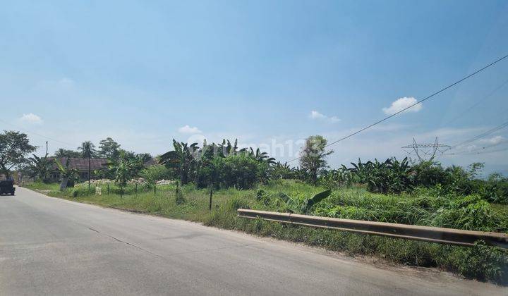 Dijual Cepat Beberapa Bidang Tanah Di Maja, Tangerang 3