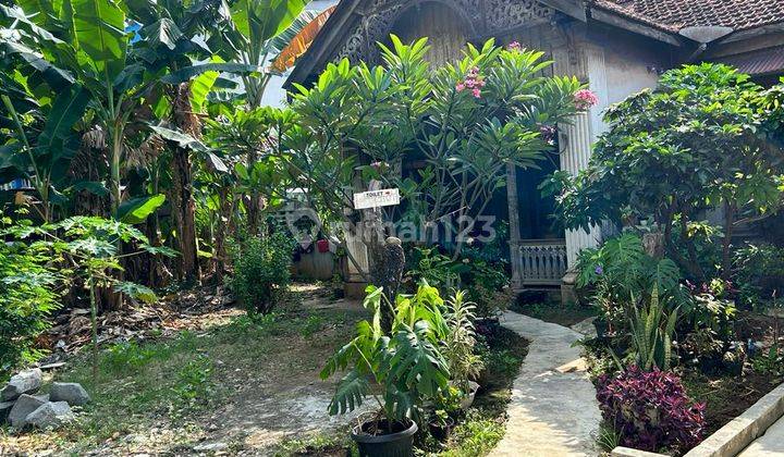 Dijual Rumah Tua  Belanda di jalan Dr Wahidin Jakarta Pusat 1