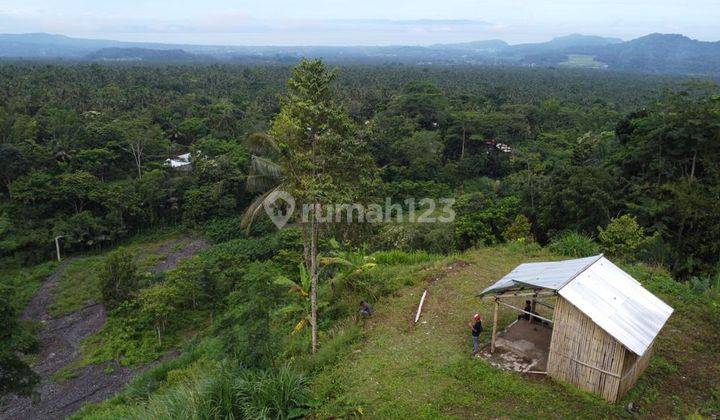 Land for sale in Babandem, Karangasem, Bali suitable for a resort in Bali 2