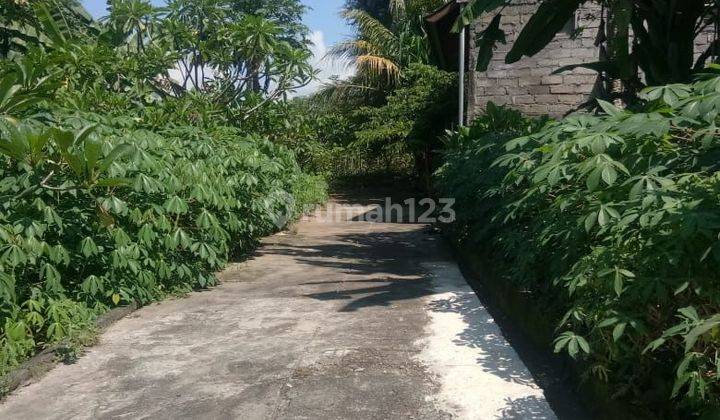 Dijual Tanah di Desa Satra Kabupaten Klungkung,Bali 2