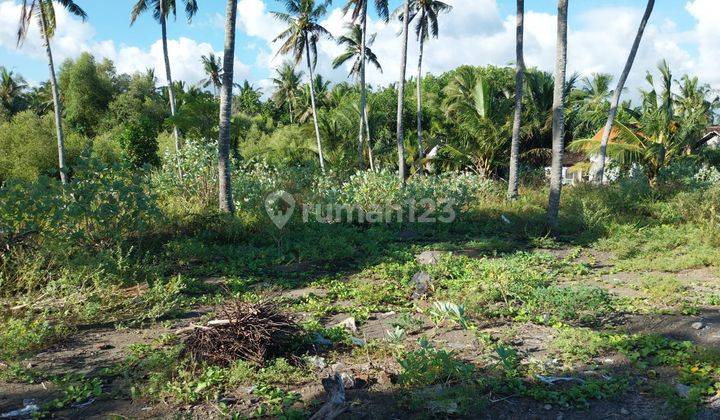 Dijual Tanah Luas View Pantai Di Negara Jembrana Bali 1