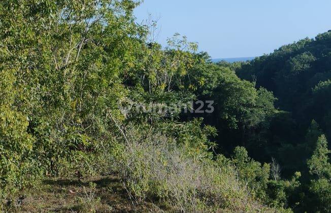 Dijual Tanah Dengan View Laut Dekat Karma Kandara Badung Bali 1