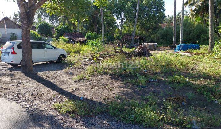 Dijual Tanah Luas View Pantai Di Negara Jembrana Bali 2