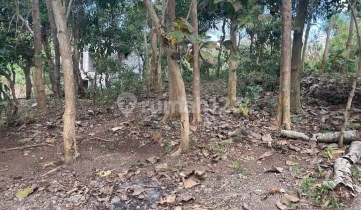 For Sale Strategic Land in Uluwatu Tourist Area, Badung Bali