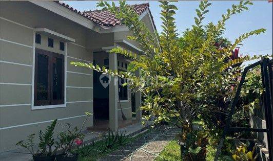 Rumah di Bogor Kota, Komplek Lpti, Luas Dan Asri 1