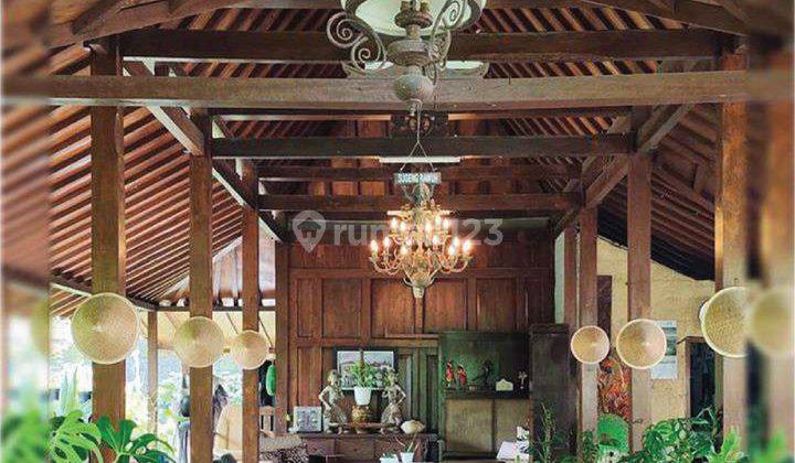 Homestay di Sukoharjo, Omah Puntuk, Sleman Jogjakarta 1