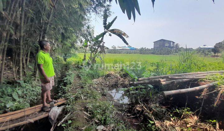 Dijual Cepat Kavling Luas Murah di Perdunenan Gunung Sindur 2