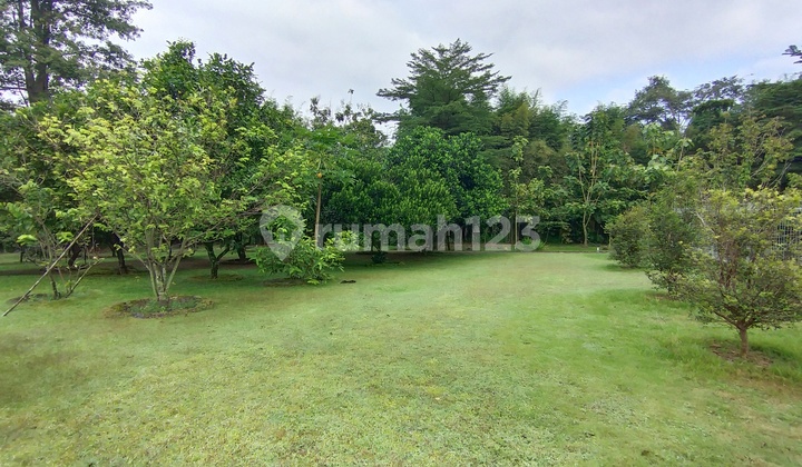 Lahan Kosong Cantik Strategis Cakep Di Ngemplak Sleman Yogyakarta Lahan Kosong Cantik Strategis Cakep Di Ngemplak Sleman Yogyakarta