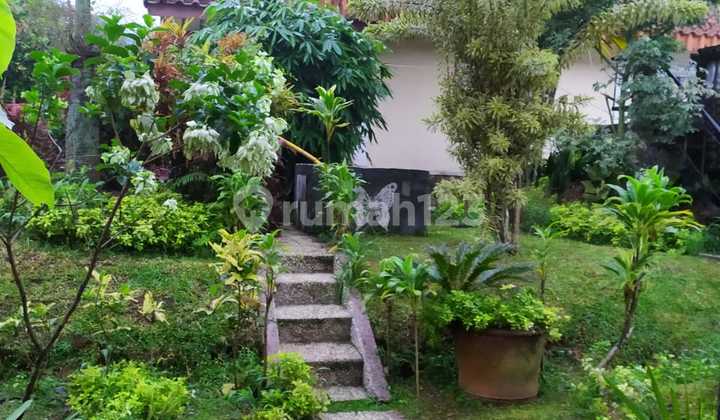 Lahan Dibogor Gunung Malang  1