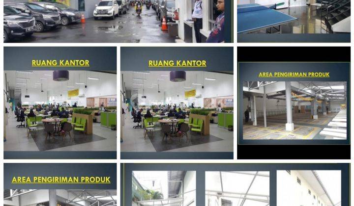 Direktur Pt.pemilik Gedung Lokasi Jaksel  1