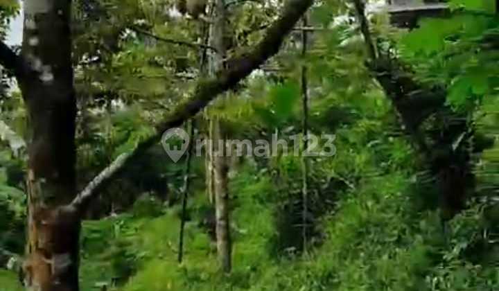 Cheap Wonosalam Garden Land Rik.nw308