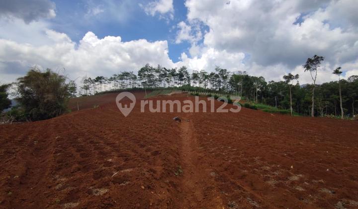 Dijual Tanah Di Mandala Mekar Jatihandap Bandung Dijual Tanah Di Mandala Mekar Jatihandap Bandung