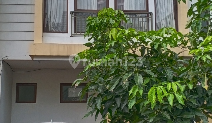 Disewa Rumah Malibu Village Rapi Dan Siap Huni,gading Serpong