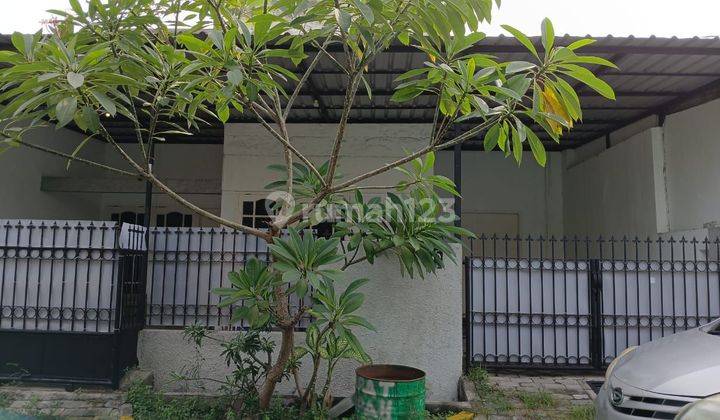 Disewakan Rumah 3 Kamar di Sutorejo Selatan Surabaya 1