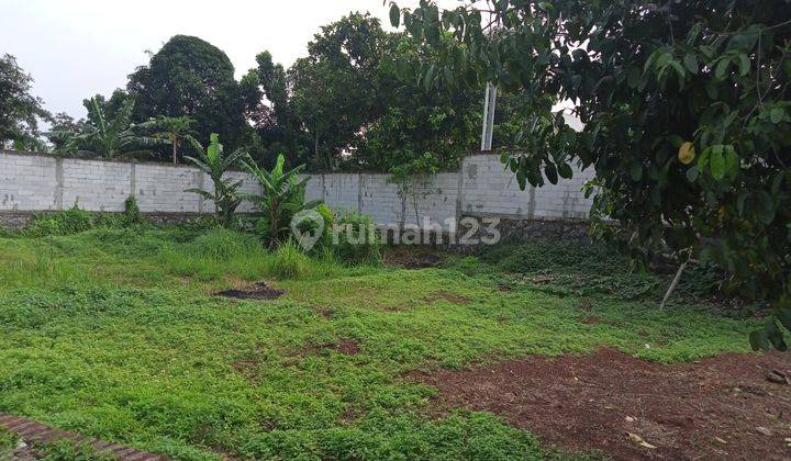 Tanah Disewakan di Neroktog Pinang 4