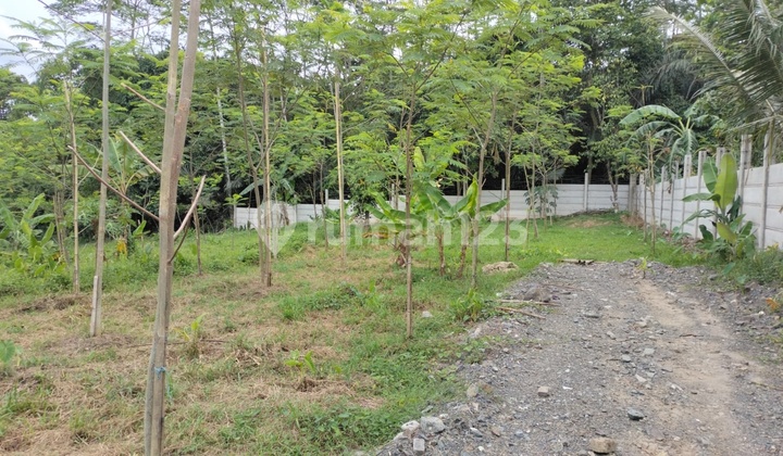 Dijual Cepat Tanah Strategis dipinggir jalan Utama Kabupaten Serang 6