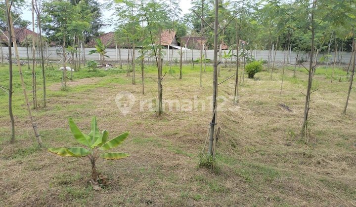 Dijual Cepat Tanah Strategis dipinggir jalan Utama Kabupaten Serang 9