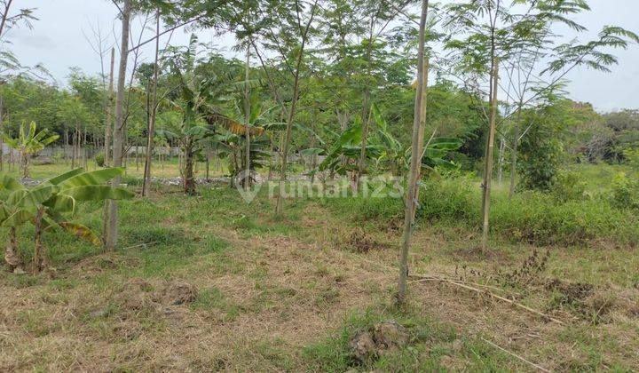 Dijual Cepat Tanah Strategis dipinggir jalan Utama Kabupaten Serang 12