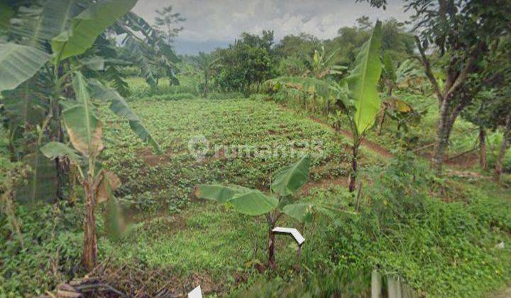 Dijual Tanah di Ciomas Kabupaten bogor 1