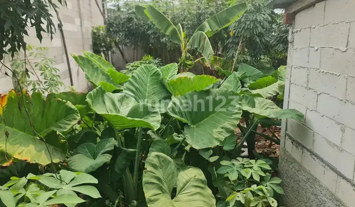 Tanah di Jl. Lapangan Bola Relis Limo Depok Tanah di Jl. Lapangan Bola Relis Limo Depok