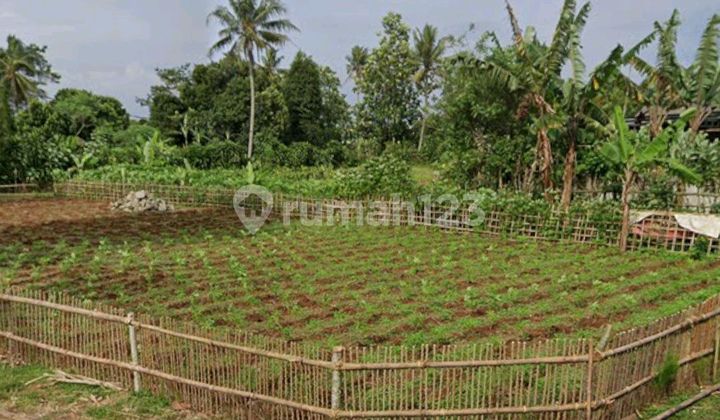 Tanah Di Desa Dangdang Cisauk Tanah Di Desa Dangdang Cisauk