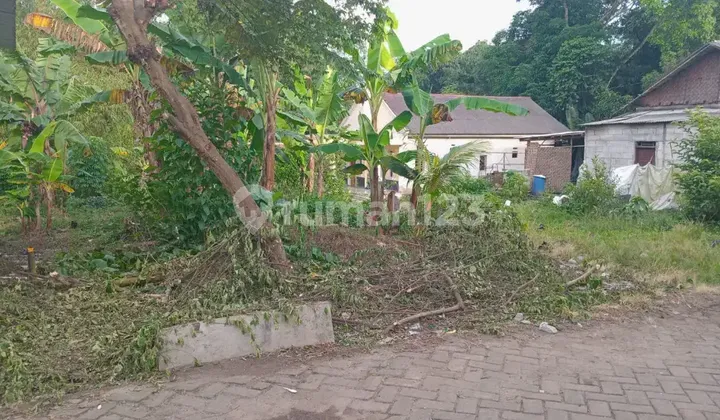 Tanah Di Kp. Cipayaeun, Desa Tegalsari Tigaraksa Tanah Di Kp. Cipayaeun, Desa Tegalsari Tigaraksa