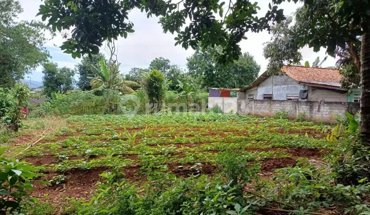 Land on Jl. Cibeber Kp Ciukuy Jonggol Land on Jl. Cibeber Kp Ciukuy Jonggol