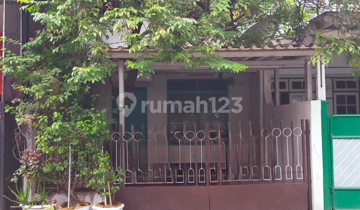Rumah Mungil Kelapa Molek Kelapa Gading Jakarta Utara