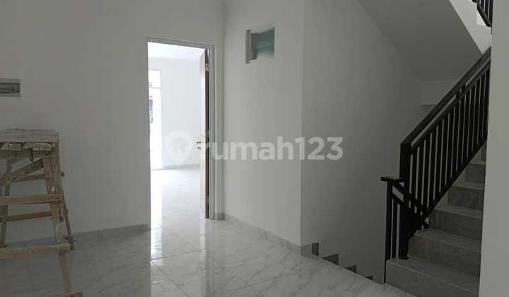 Brand New Hybrid Coconut Kelapa Gading North Jakarta 2