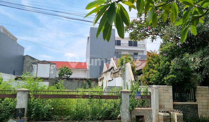 Land for Quick Sale in North Pulo Mas Land for Quick Sale in North Pulo Mas