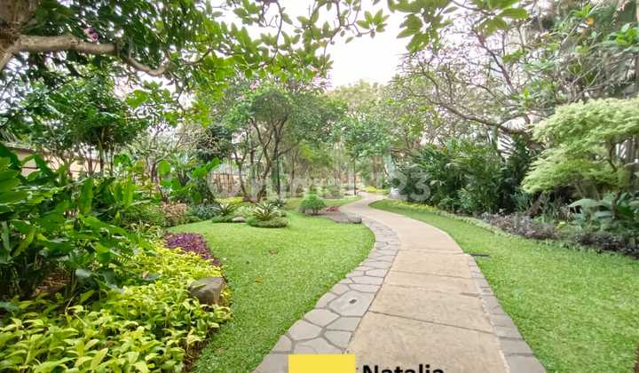 Newly Renovated 3-Bedroom Unit in Elite Area South Jakarta 1