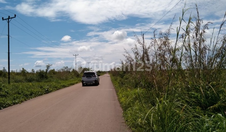 Dijual Tanah Di Ketapang Kalimantan Barat