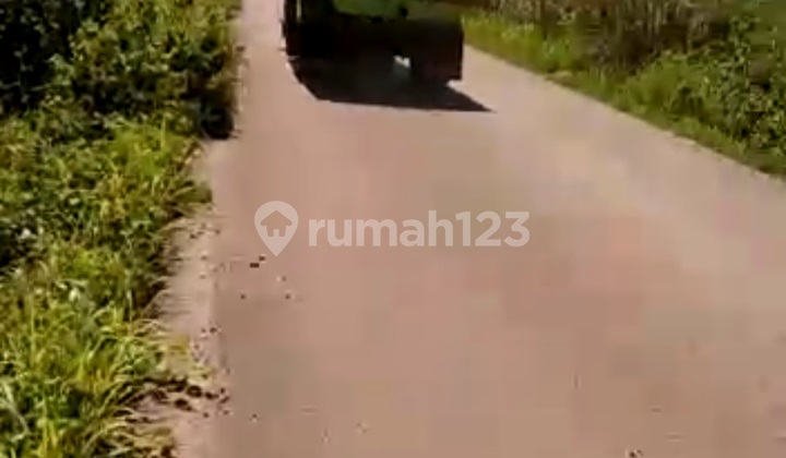 Dijual Tanah Di Ketapang Kalimantan Barat Hanya Utk Perkebunan Sawit Dll