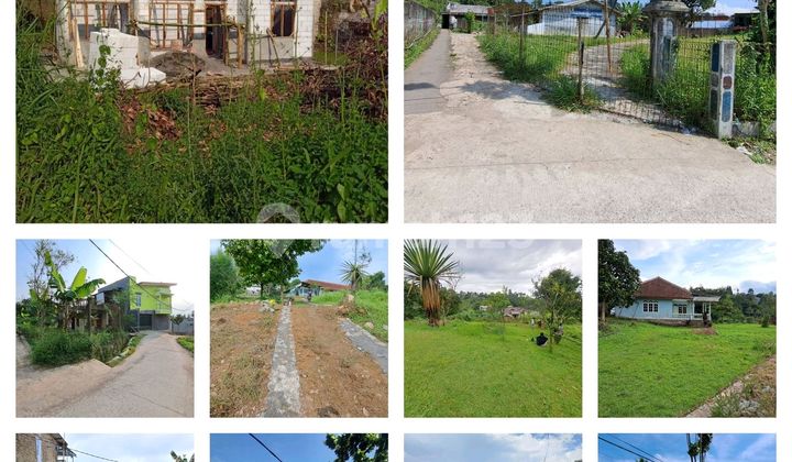 For Sale Quickly Land Plots In Lewimalang Cisarua Puncak Bogor Opposite Kelotok Coffee Behind Cimory