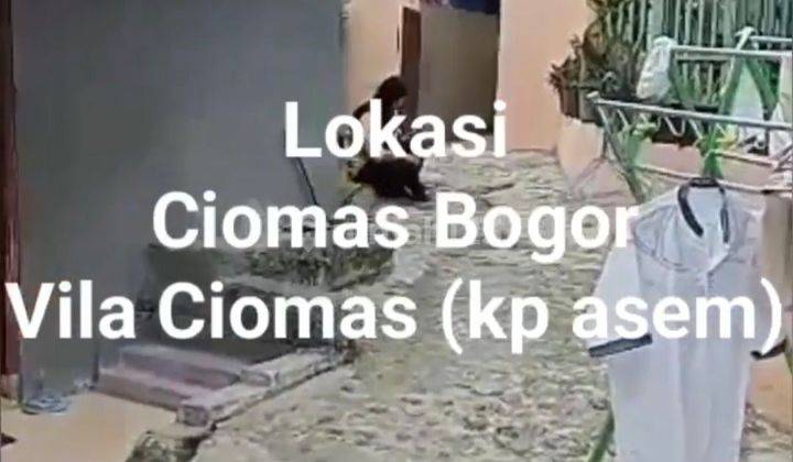 Kontrakan Ada  4 Rumah ,strategis Aman ,murah Parkiran Luas Kota Bogor Rumah Kontrakan Di Jln.beringin Raya Padasuka Ciomas Kota Bogor Lainnya Sudah Renovasi 2