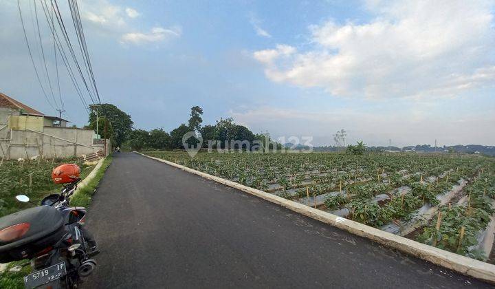 Tanah tepi jalan  dijual di bogor  dekat ipb dramaga 2