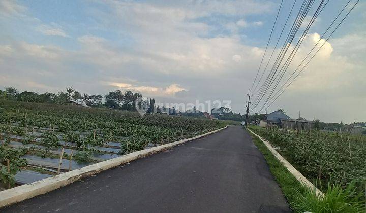 Tanah tepi jalan  dijual di bogor  dekat ipb dramaga 1