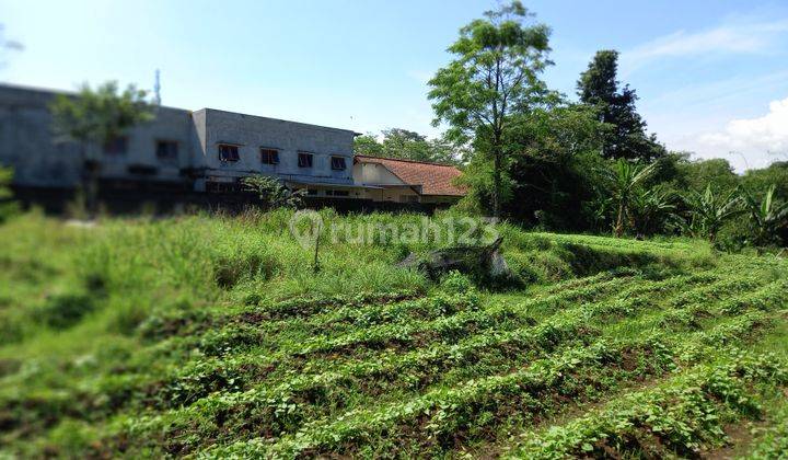 Tanah  dekat kampus ipb dramaga bogor cocok buat kosan 6