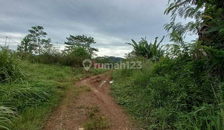 Tanah murah dijual di cigudeg bogor cocok buat invest 1